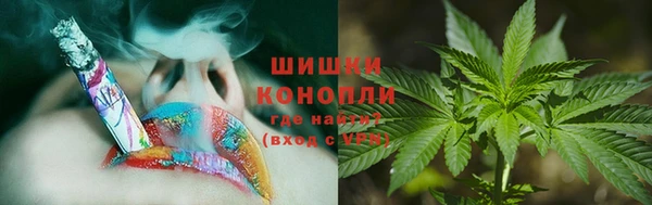 apvp Алзамай