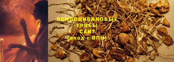 apvp Алзамай